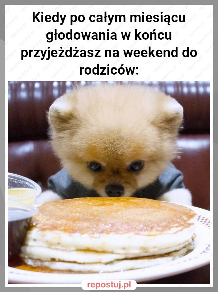 Kiedy po całym miesiącu głodowania w końcu przyjeżdżasz na weekend do rodziców: