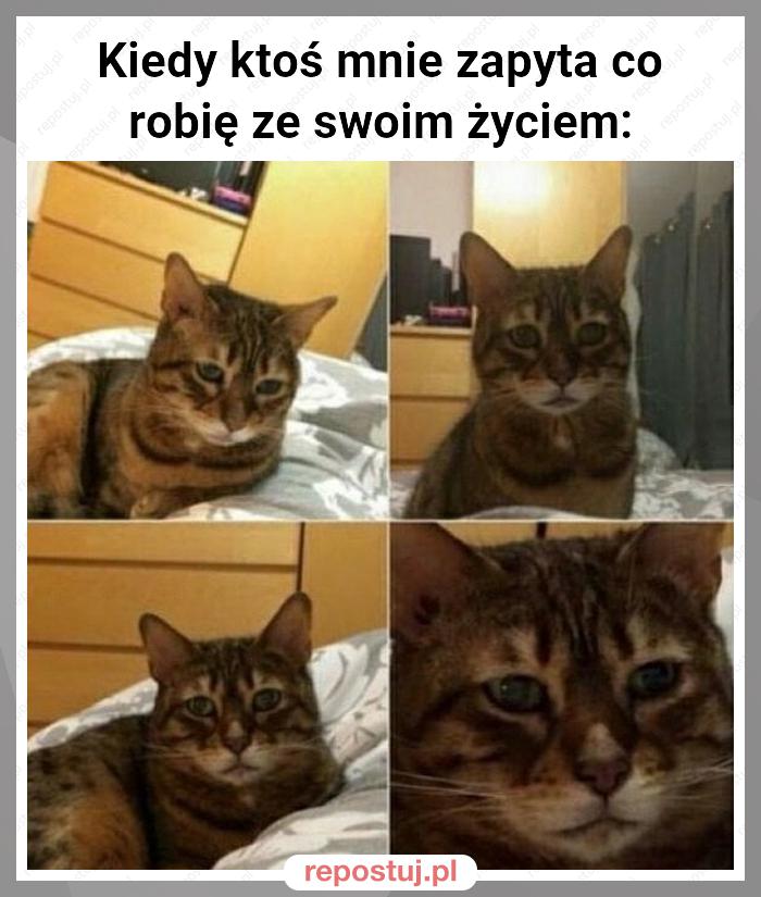 Kiedy ktoś mnie zapyta co robię ze swoim życiem: