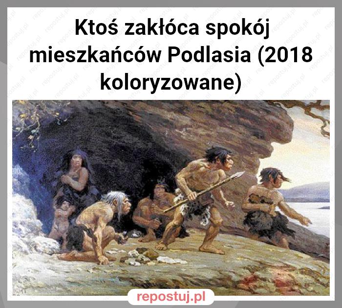 Ktoś zakłóca spokój mieszkańców Podlasia (2018 koloryzowane)