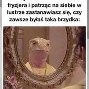 Zawsze u fryzjera