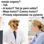 Kości