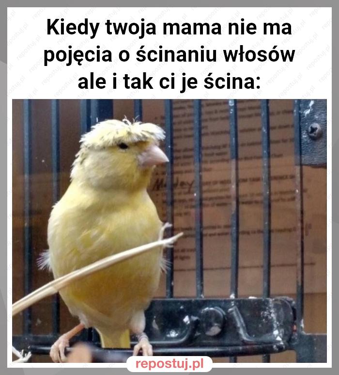 Kiedy twoja mama nie ma pojęcia o ścinaniu włosów ale i tak ci je ścina: