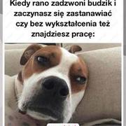 Codziennie się zastanawiam