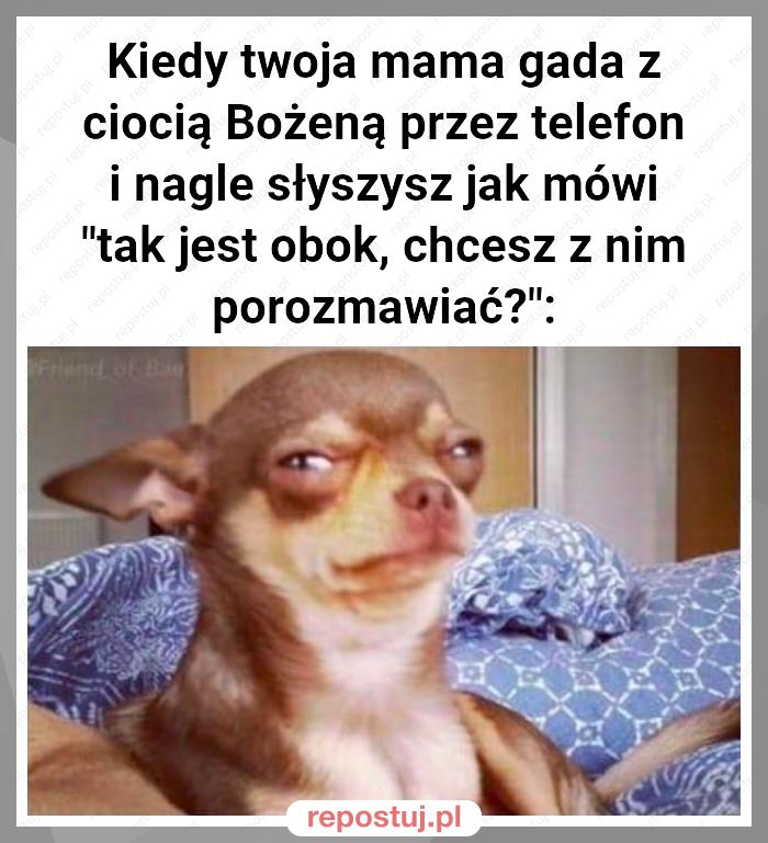 Kiedy twoja mama gada z ciocią Bożeną przez telefon i nagle słyszysz jak mówi "tak jest obok, chcesz z nim porozmawiać?":