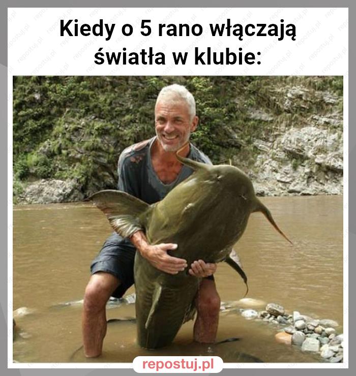 Kiedy o 5 rano włączają światła w klubie: