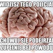 Podejrzanie