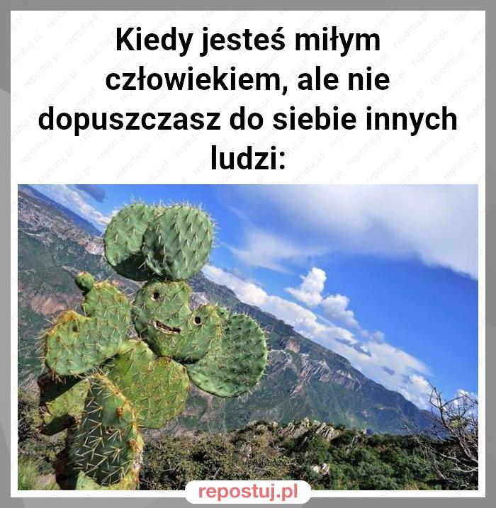 Kiedy jesteś miłym człowiekiem, ale nie dopuszczasz do siebie innych ludzi: