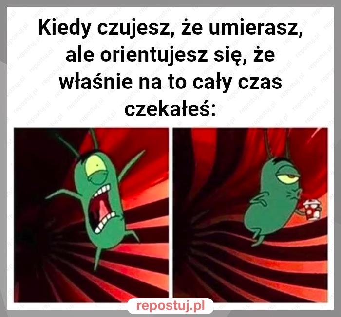 Kiedy czujesz, że umierasz, ale orientujesz się, że właśnie na to cały czas czekałeś: