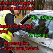 Kontrola trzeźwości