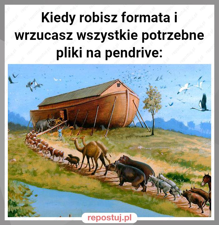 Kiedy robisz formata i wrzucasz wszystkie potrzebne pliki na pendrive: