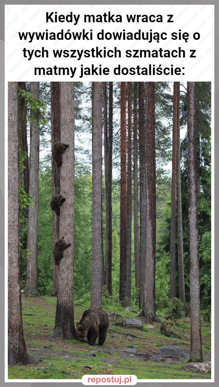 Kiedy matka wraca z wywiadówki dowiadując się o tych wszystkich szmatach z matmy jakie dostaliście: