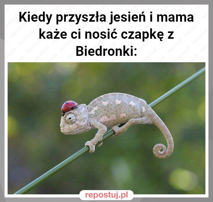 Kiedy przyszła jesień i mama każe ci nosić czapkę z Biedronki: