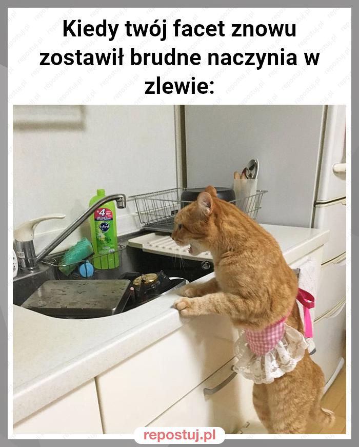 Kiedy twój facet znowu zostawił brudne naczynia w zlewie: