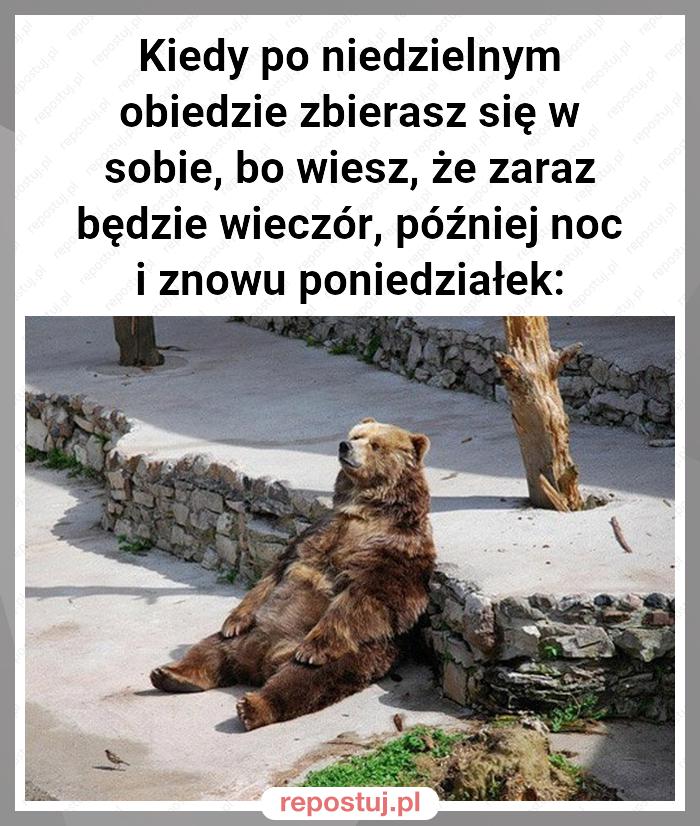 Kiedy po niedzielnym obiedzie zbierasz się w sobie, bo wiesz, że zaraz będzie wieczór, później noc i znowu poniedziałek: