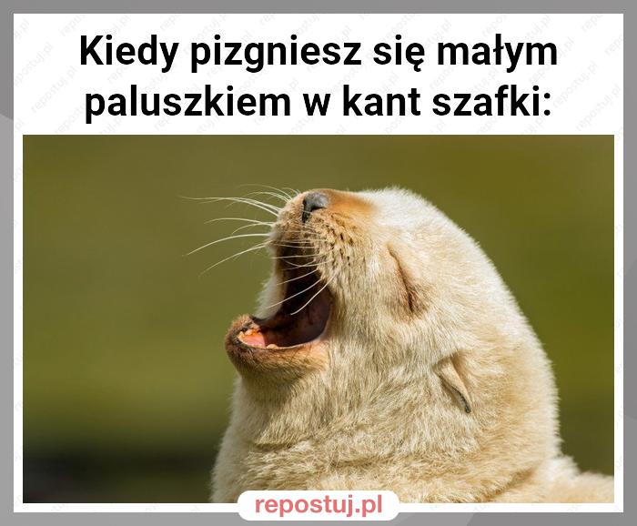 Kiedy pizgniesz się małym paluszkiem w kant szafki: