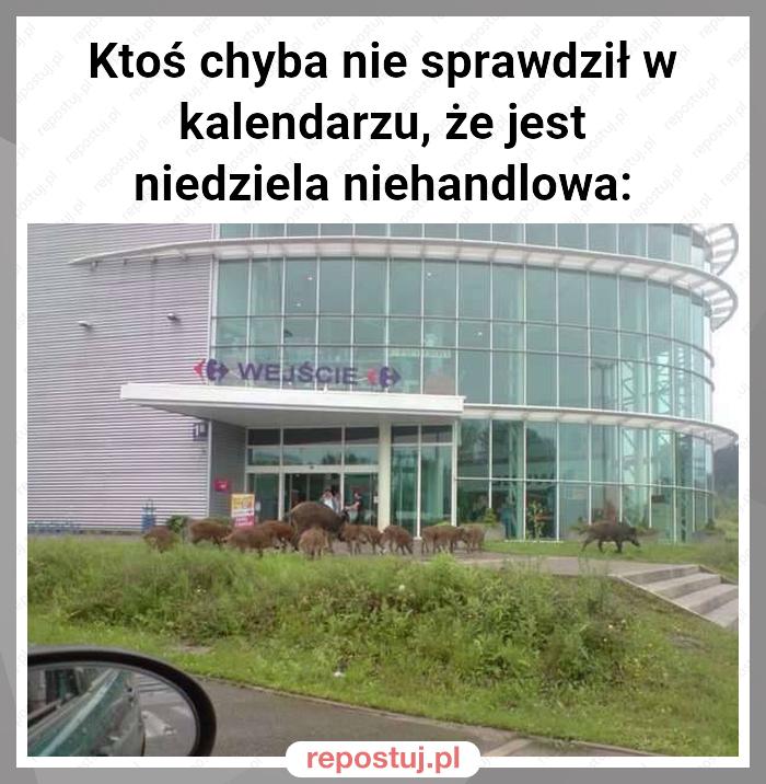 Ktoś chyba nie sprawdził w kalendarzu, że jest niedziela niehandlowa: