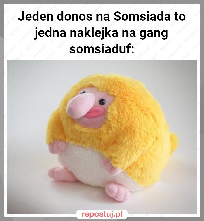 Jeden donos na Somsiada to jedna naklejka na gang somsiaduf: