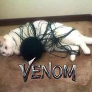 Venom xDDD