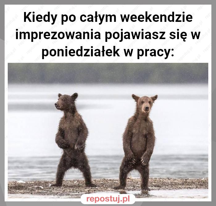 Kiedy po całym weekendzie imprezowania pojawiasz się w poniedziałek w pracy: