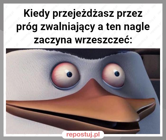 Kiedy przejeżdżasz przez próg zwalniający a ten nagle zaczyna wrzeszczeć: