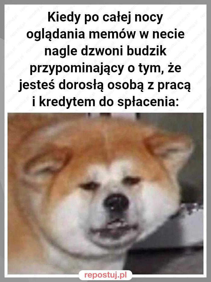 Kiedy po całej nocy oglądania memów w necie nagle dzwoni budzik przypominający o tym, że jesteś dorosłą osobą z pracą i kredytem do spłacenia: