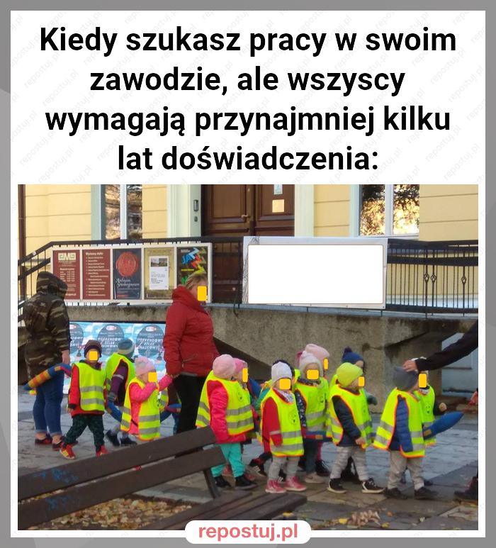 Kiedy szukasz pracy w swoim zawodzie, ale wszyscy wymagają przynajmniej kilku lat doświadczenia: