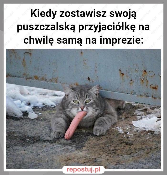 Kiedy zostawisz swoją puszczalską przyjaciółkę na chwilę samą na imprezie: