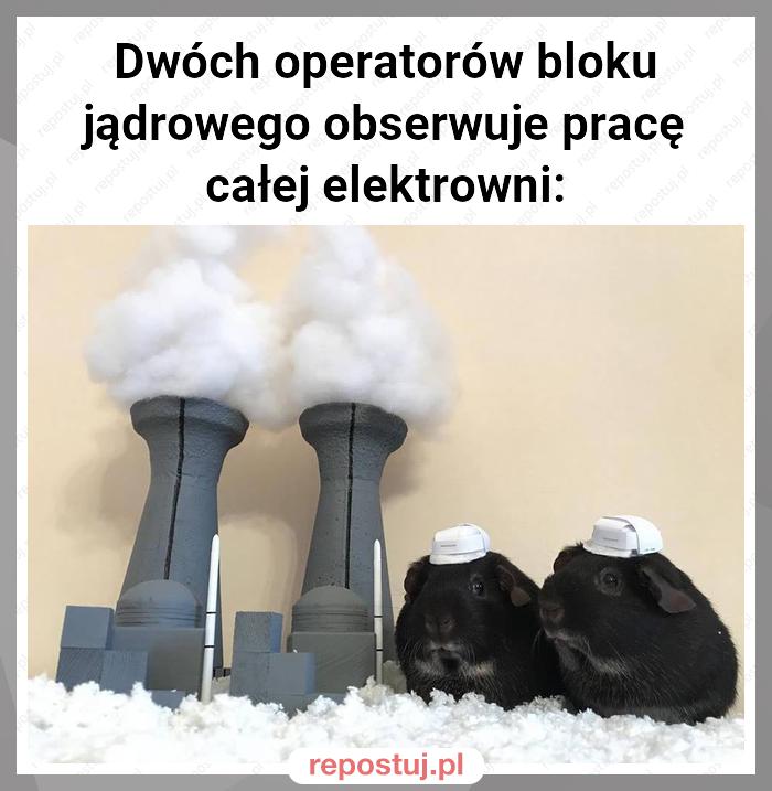 Dwóch operatorów bloku jądrowego obserwuje pracę całej elektrowni: