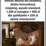 Kiedy szukasz mieszkania studenckiego