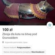 Zbroja dla kota