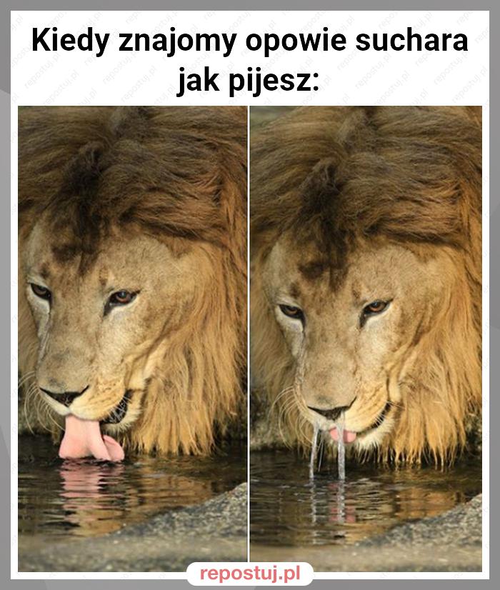 Kiedy znajomy opowie suchara jak pijesz: