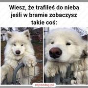 Prawdziwe niebo