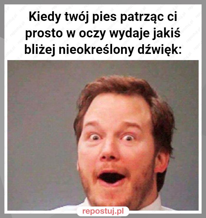 Kiedy twój pies patrząc ci prosto w oczy wydaje jakiś bliżej nieokreślony dźwięk: