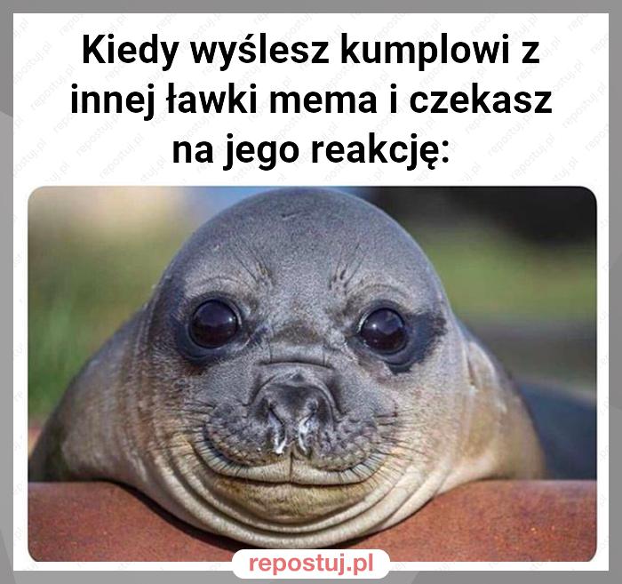 Kiedy wyślesz kumplowi z innej ławki mema i czekasz na jego reakcję: