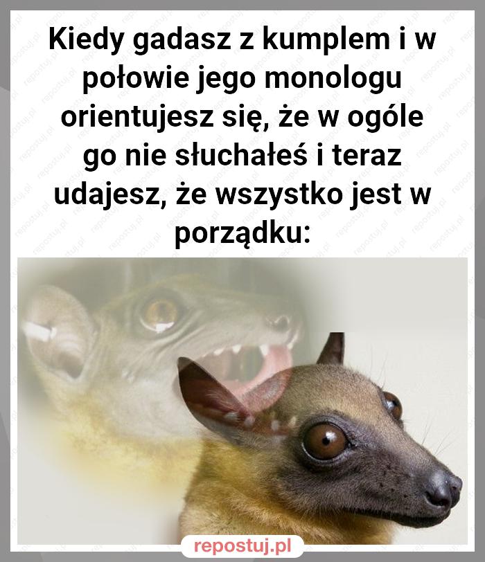 Kiedy gadasz z kumplem i w połowie jego monologu orientujesz się, że w ogóle go nie słuchałeś i teraz udajesz, że wszystko jest w porządku: