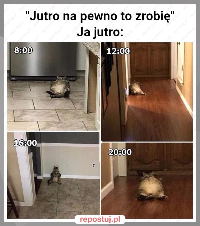 "Jutro na pewno to zrobię"
Ja jutro: