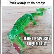 Kawka i lecimy dalej