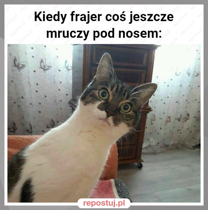 Kiedy frajer coś jeszcze mruczy pod nosem: