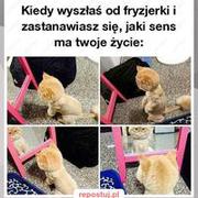 I po co to wszystko