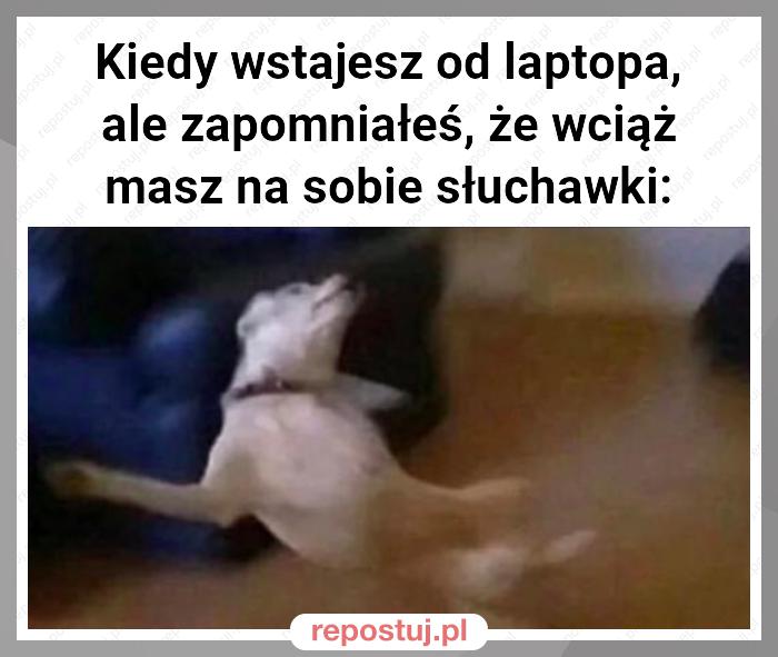 Kiedy wstajesz od laptopa, ale zapomniałeś, że wciąż masz na sobie słuchawki: