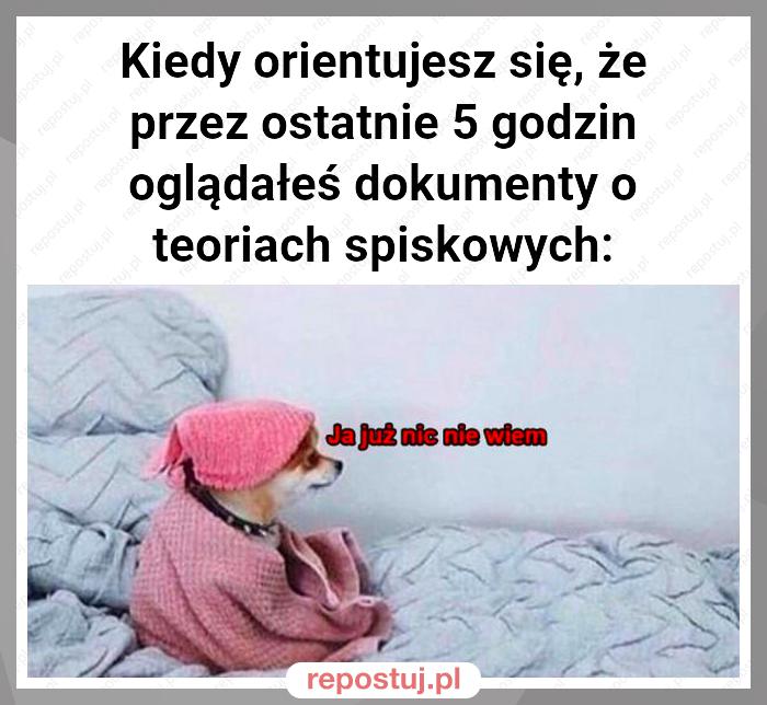 Kiedy orientujesz się, że przez ostatnie 5 godzin oglądałeś dokumenty o teoriach spiskowych: