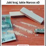 Polskie Narcos