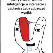 Testy na inteligencję