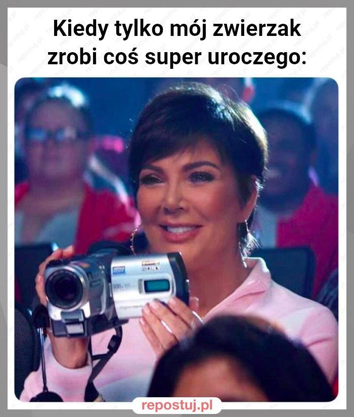 Kiedy tylko mój zwierzak zrobi coś super uroczego: