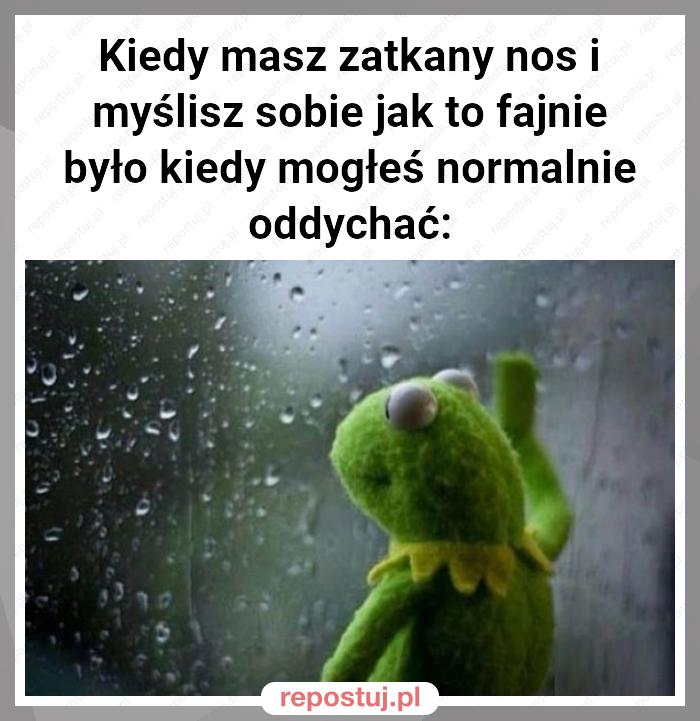 Kiedy masz zatkany nos i myślisz sobie jak to fajnie było kiedy mogłeś normalnie oddychać: