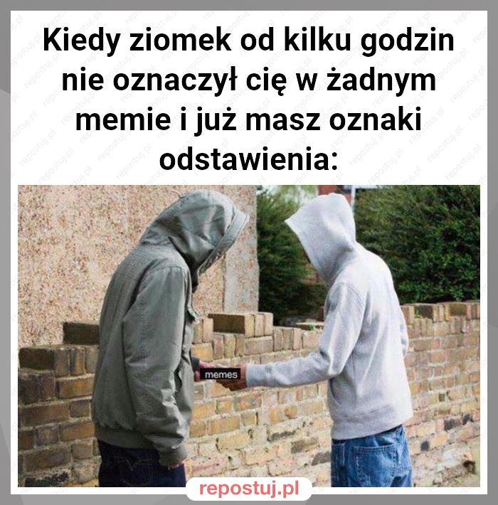 Kiedy ziomek od kilku godzin nie oznaczył cię w żadnym memie i już masz oznaki odstawienia: