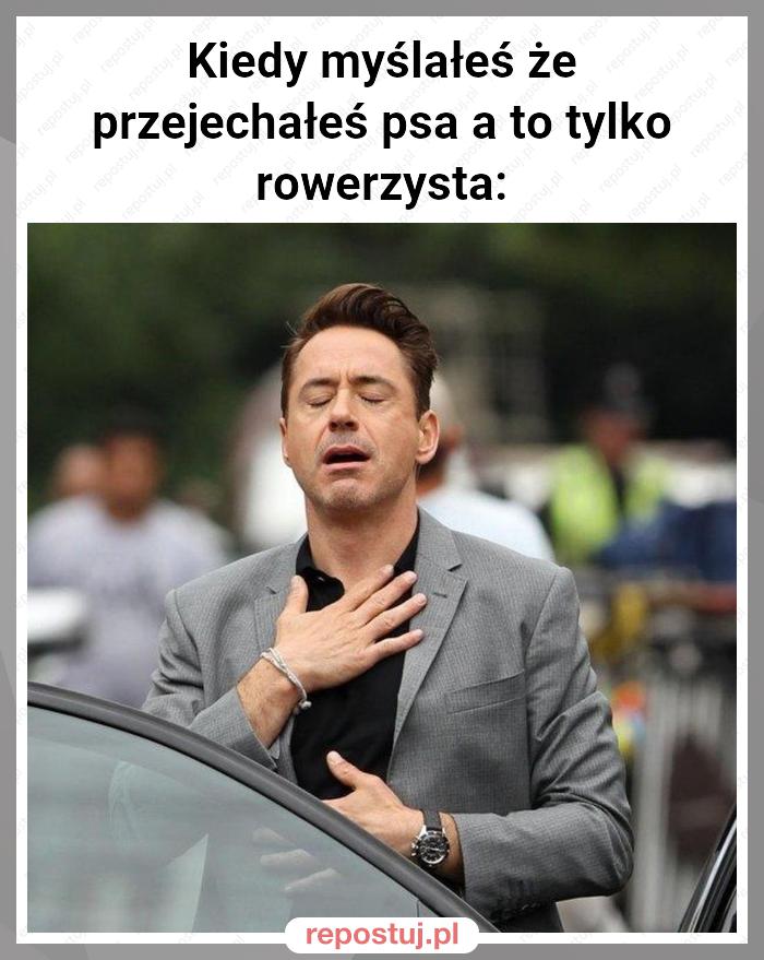 Kiedy myślałeś że przejechałeś psa a to tylko rowerzysta: