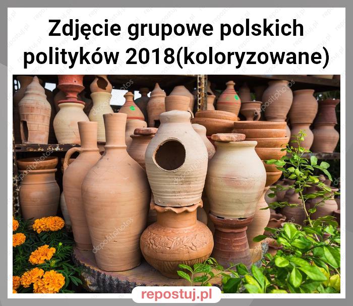 Zdjęcie grupowe polskich polityków 2018(koloryzowane)