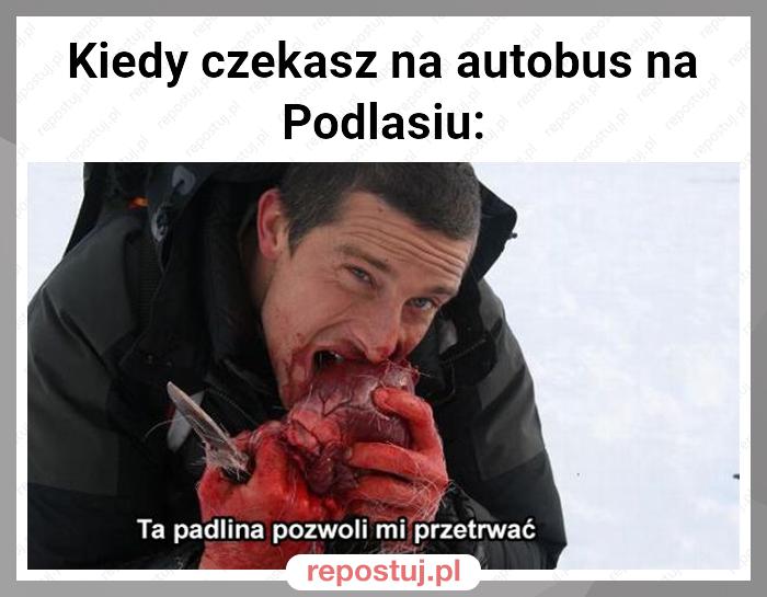 Kiedy czekasz na autobus na Podlasiu: