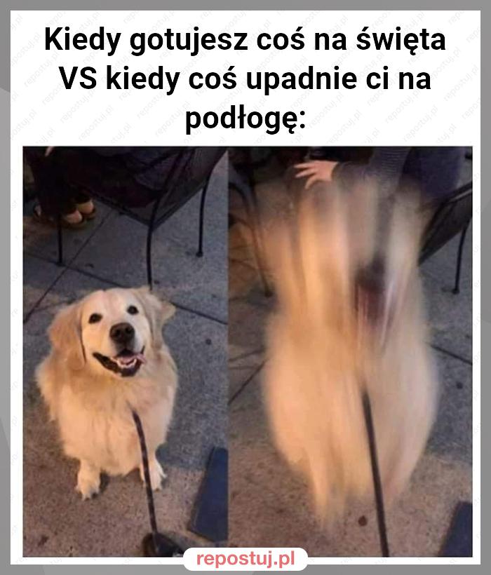 Kiedy gotujesz coś na święta VS kiedy coś upadnie ci na podłogę: